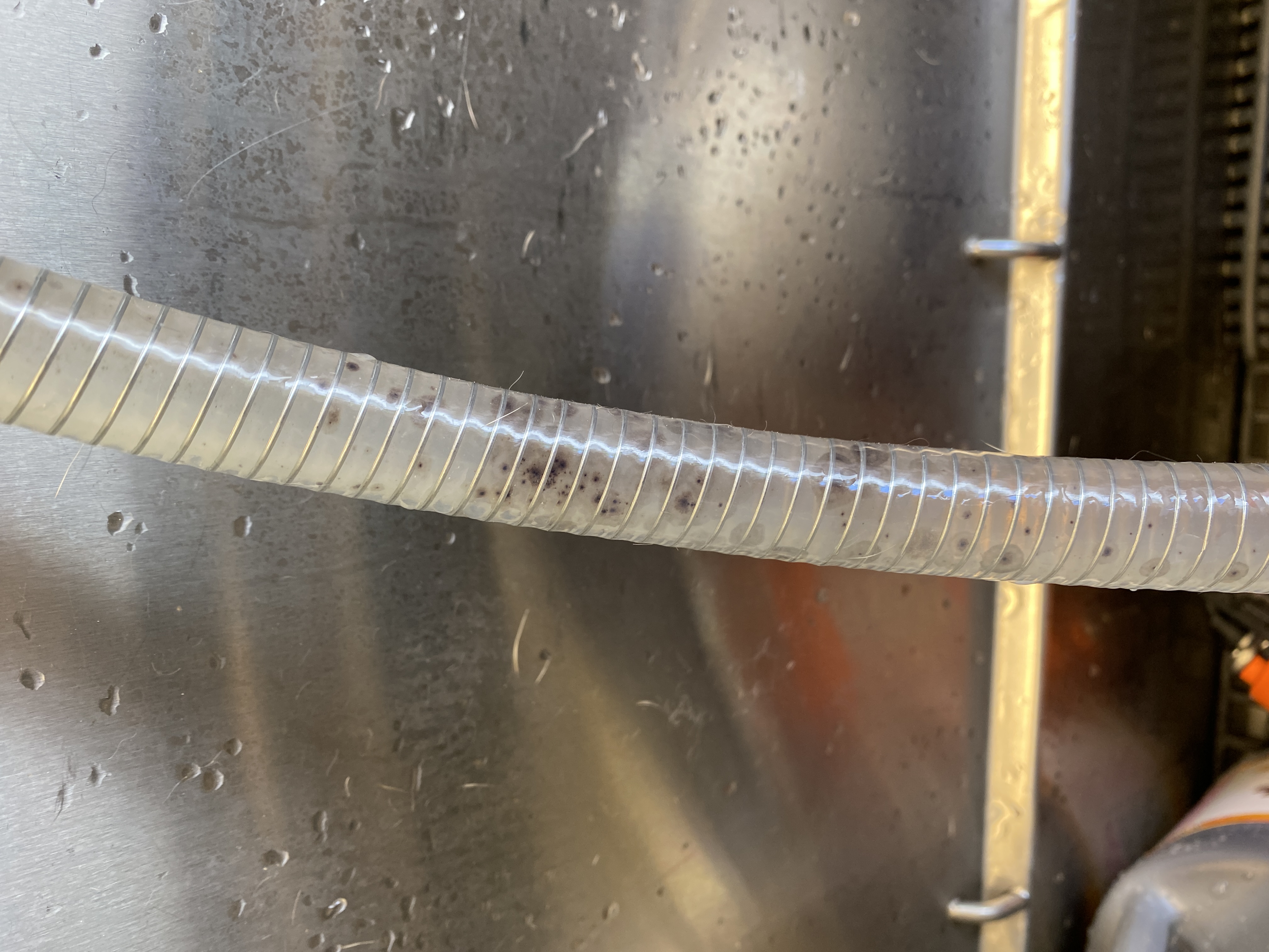 EWWW, bet you did not know this was going on with the water system in your mobile unit!